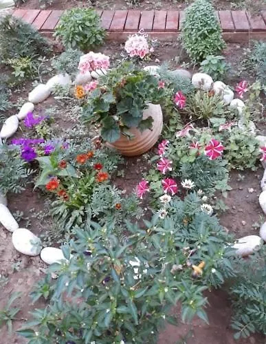 Sofia Margarita's 여관