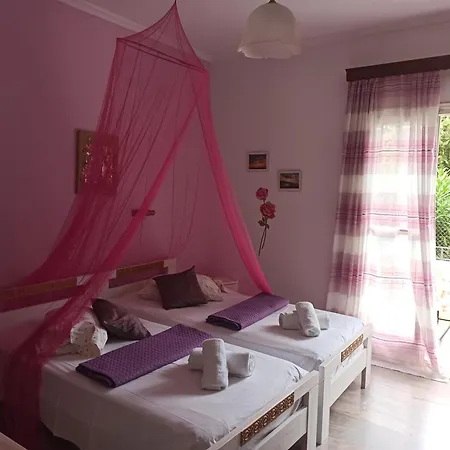 Sofia Margarita's 2*