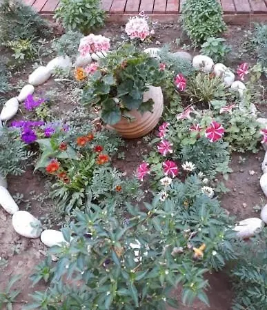 Sofia Margarita's אורחן