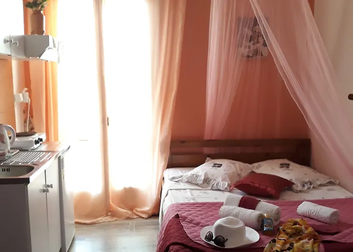 Sofia Margarita's אורחן