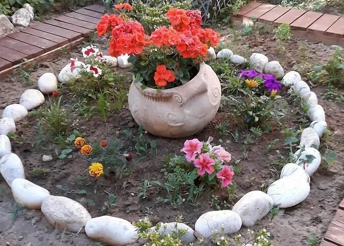 Sofia Margarita's
