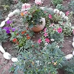 Sofia Margarita's Herberg