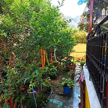 Sofia Margarita's Agios Gordios (Corfu)