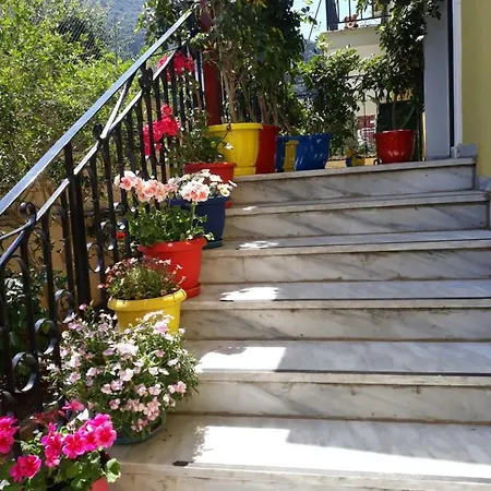 Sofia Margarita's Kro Agios Gordios (Corfu)