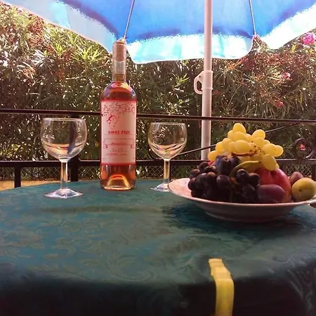 Sofia Margarita's 2*